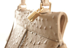 Firenze Brown Ostrich Leather Bag
